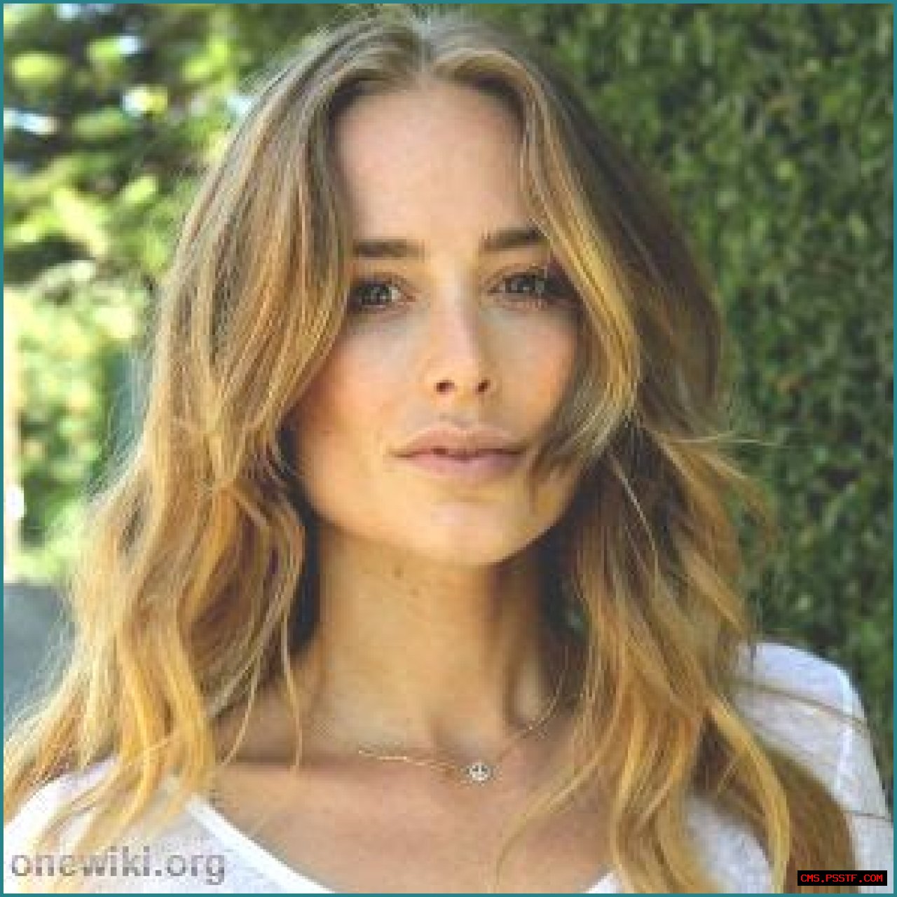 Anine Bing Net Worth