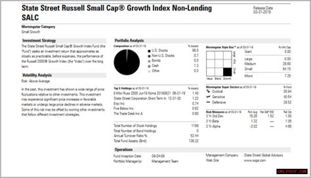 DELAWARE VIP SMALL CAP VALUE SERIES STANDARD CLASS