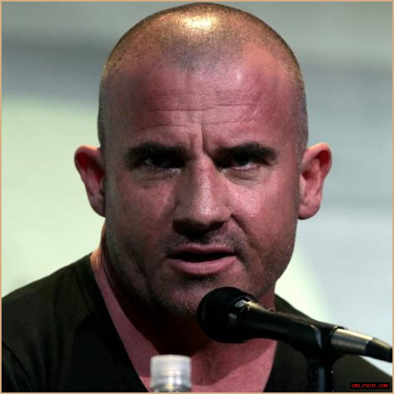 Dominic Purcell Height, Weight, Net Worth, Age, Birthday, Wikipedia, Who, Nationality, Biography