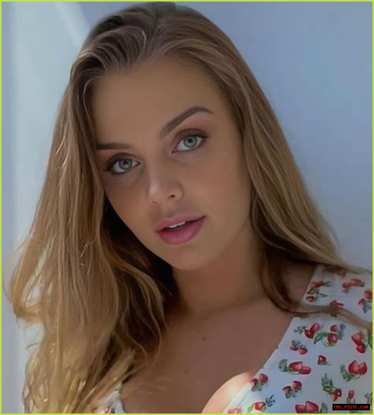 Sophia Hill (webvideostar) - Wikipedia, Age, Net Worth, Biography , Spotify, TikTok, Facebook, Facts and Family